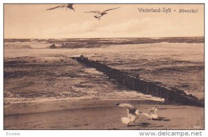 Mowenidyll, WESTERLAND, Sylt, Germany, 00-10´s