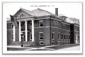 City Hall Building Princeton Illinois IL WB Postcard W7