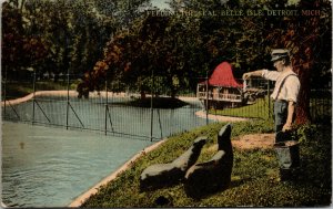 Vtg 1910s Feeding The Seals Belle Isle Detroit Michigan MI Postcard