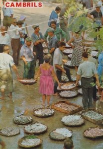 Tarragona Cambrils Street Fish Fishing Market Markets Spain Spanish Postcard