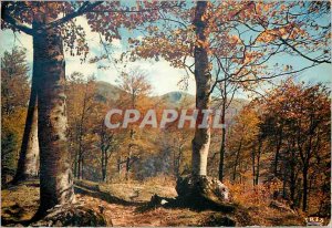 Postcard Modern Limousin Picturesque n Who felt the charm of autumn