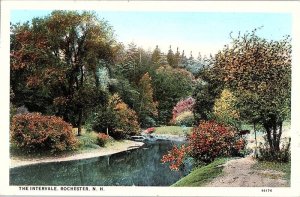 Postcard NATURE SCENE Rochester New Hampshire NH AJ3531