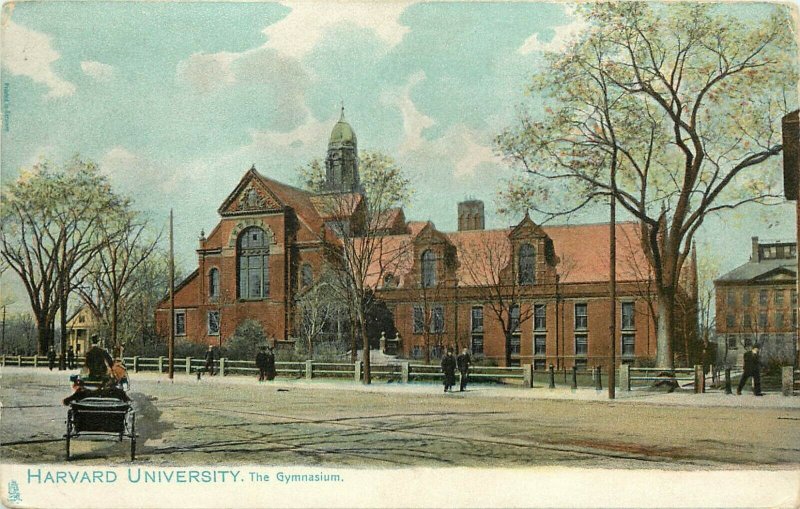UDB Tuck Postcard 1059 Harvard University, The Gymnasium, Unposted Nice