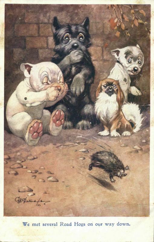 Artist Signed G.E. Studdy, BONZO Dog We met several Road Hogs (1920s) Postcard