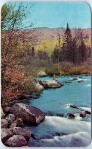 M-59967 A painting of white water and an autumn forest-by mother nature Morri...