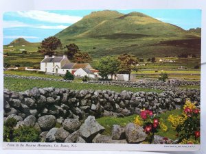 Farm in the Mourne Mountains  Co Down Ireland Vintage Postcard Posted 1970