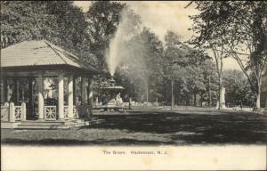 Hackensack NJ The Green c1910 Postcard