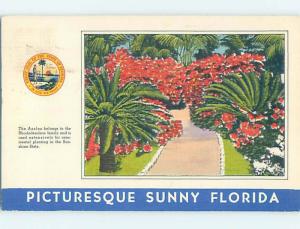 Linen POSTCARD FROM Postmarked St. Petersburg Florida FL HM9980