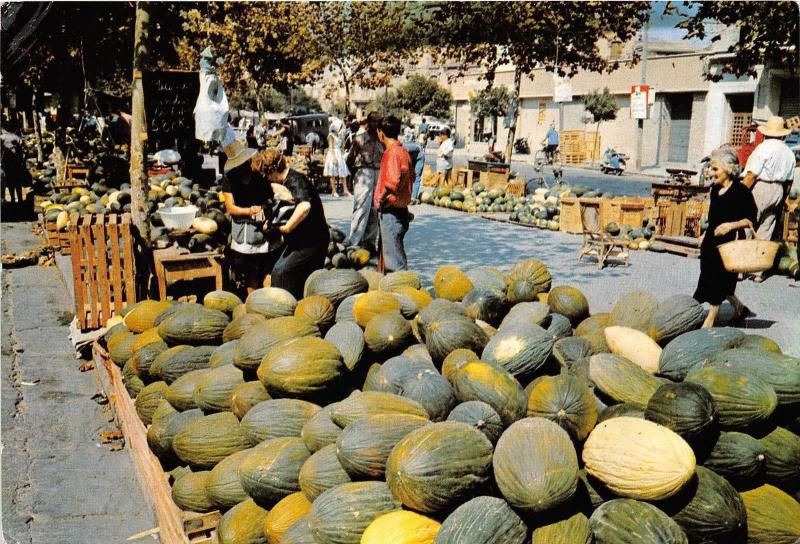 BG6349 mallorca mercado de melones types melons   spain