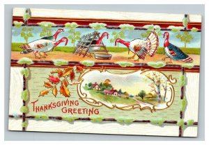 Vintage 1910's Winsch Back Thanksgiving Postcard Turkeys Feeding Gall Leaves