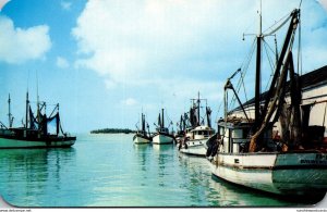 Florida Key West Shrimp Fleet and Docks