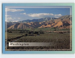 Postcard Wenatchee, Washington