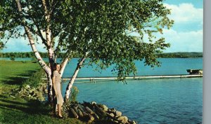 Vintage Postcard Water Wonderland Blanketed With Forest Trails Cabins Michigan