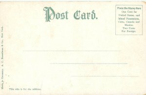 Washington, DC US Congressional Library Undivided Back Postcard Unused 