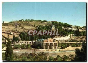 Modern Postcard General view of Gethsemane