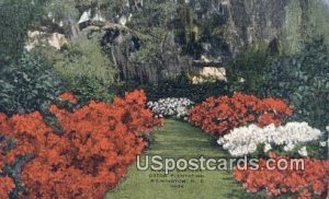 Flower Garden, Orton Plantation in Wilmington, North Carolina