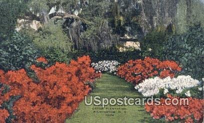 Flower Garden, Orton Plantation - Wilmington, North Carolina NC  