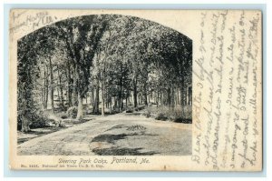 c1907 Deering Park Oaks, Portland, Maine ME Antique Unposted Postcard