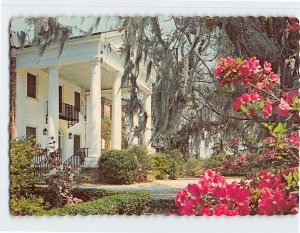 Postcard Boone Hall Plantation, Mount Pleasant, South Carolina