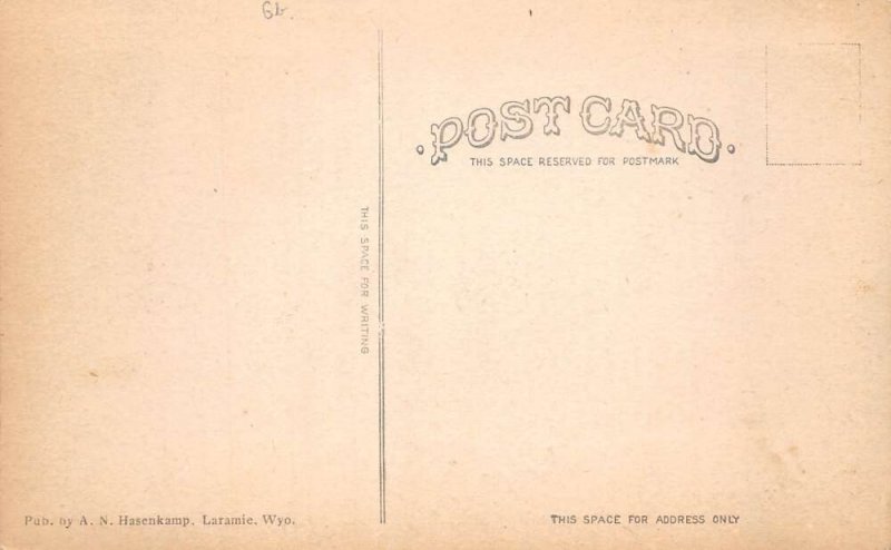 Laramie Wyoming Centennial Valley LHPP Railroad Vintage Postcard AA100697