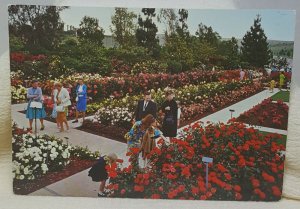 Pageant of Roses Garden California Vintage Postcard