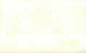 Hand-Colored RPPC Postcard; River Path, Hamilton New Zealand 5328 unposted