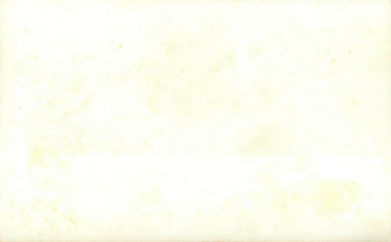 Hand-Colored RPPC Postcard; River Path, Hamilton New Zealand 5328 unposted