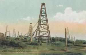 Rich Producing Field of Oil Wells - Location not specified - DB