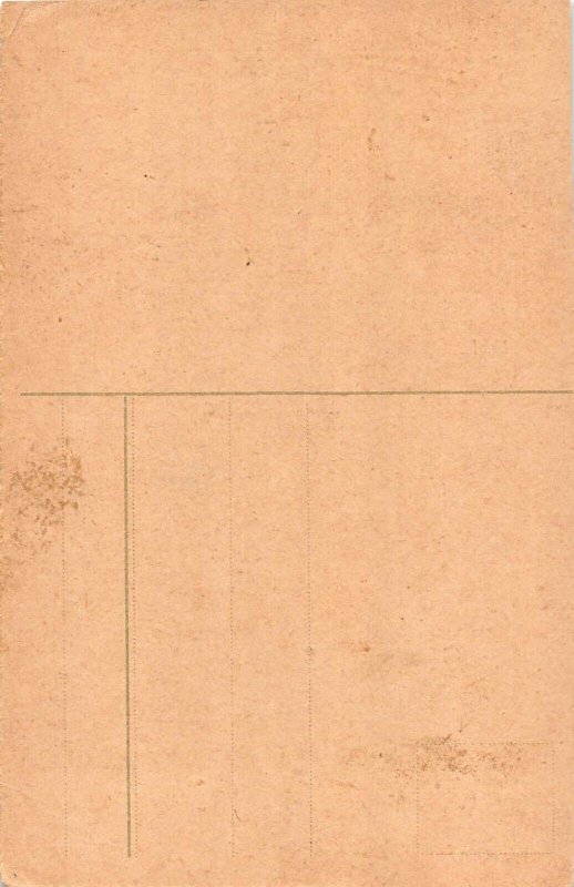 L161 Man with umbrella cat vs dog comic humor postcard