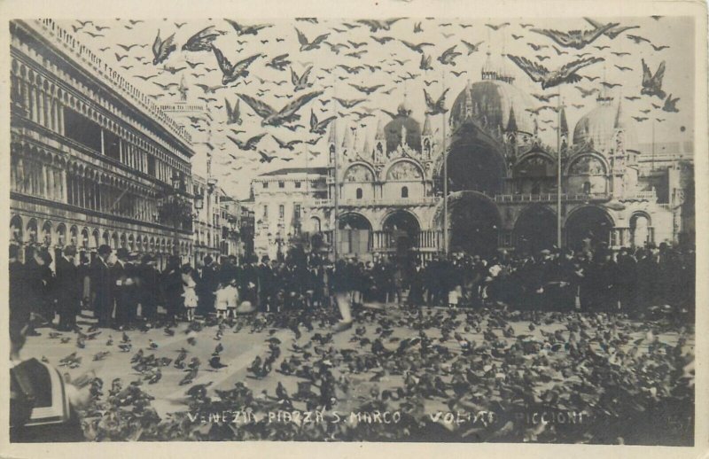 Italy Venice San Marco Square pigeons real photo postcard c.1930