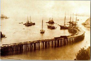 Wharf at Albion CA c1897, Reproduced Print, Modern Postcard C68