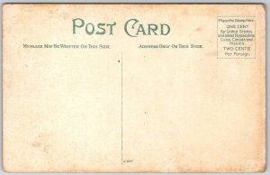 Springfield Ohio c1910 Postcard High School Building Dome