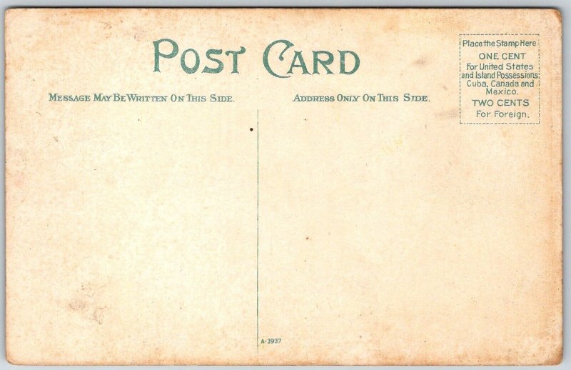 Springfield Ohio c1910 Postcard High School Building Dome