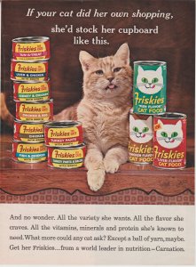 1965 Color Print Ad Friskies Canned Cat Food, Orange Tabby, Tongue Sticking Out