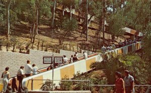 Moving Stairway SAN DIEGO ZOO Balboa Park c1960s Vintage Postcard