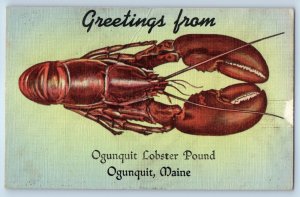 c1940 Ogunquit Maine ME Vintage Postcard Greetings From Lobster Pound Unposted