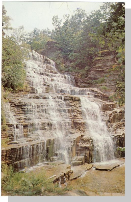 Beautiful Watkins Glen, New York/NY Postcard, Hector Falls