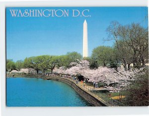 Postcard Washington Monument Washington District of Columbia USA