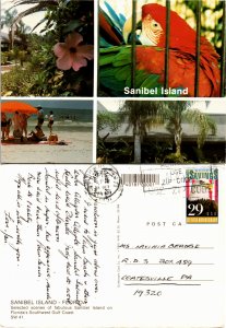 Sannibel Island, Florida (23463