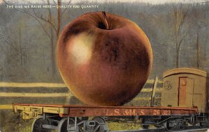 Apples 1912 