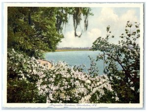 Magnolia Gardens Charleston South Carolina NC, Sea View Flowers Posted  Postcard