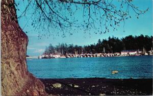 Sidney BC Boats Marina UNUSED Vintage Postcard D97