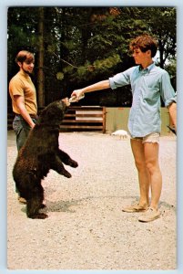 Bloomingdale Indiana IN Postcard Parke County Young Bear Zoo Farm c1960 Vintage