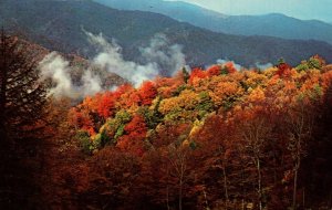 Fall Colors,Transmountain Highway,Great Smoky Mountains National Park