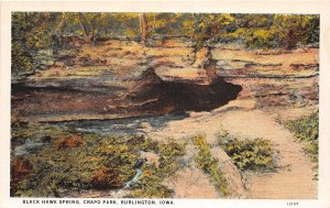 J49/ Burlington Iowa Postcard c1910 Black Hawk Spring Crapo Park 194