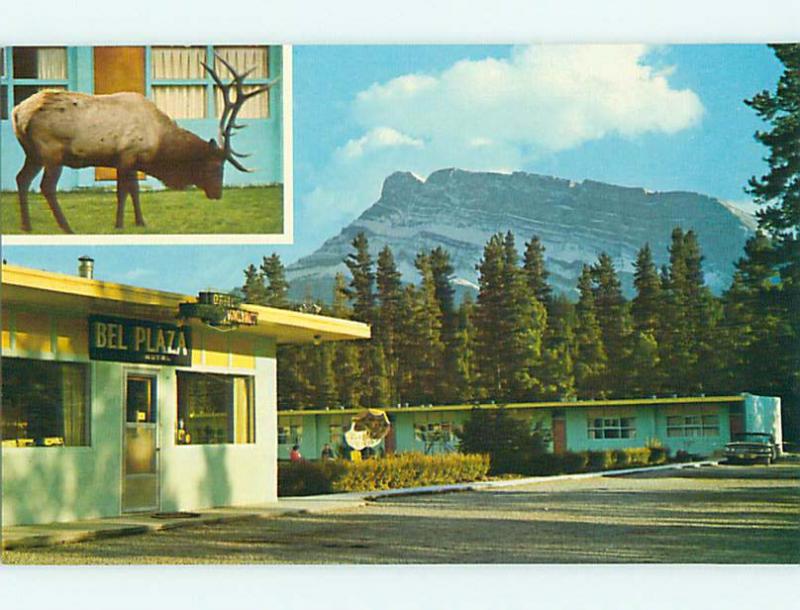 Unused Pre-1980 OLD CARS & BEL PLAZA MOTEL IN BANFF Alberta CANADA u0732