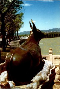 Beijing, China  BRONZE OX Summer Palace KUNMING LAKE~17 Arch Bridge 4X6 Postcard