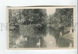 443218 Estonia Narva Joesuu pond with swans Vintage photo postcard