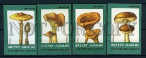 500639 POLAND mushrooms Vintage match labels