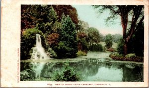 View In Spring Grove Cemetery Cincinnati Ohio Vintage Postcard C058